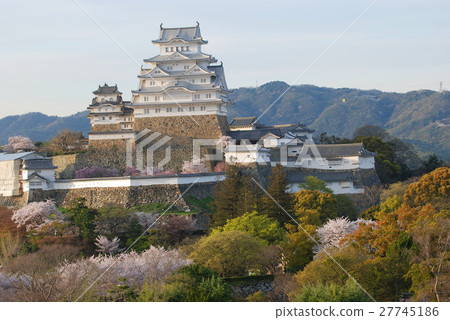 Cherry blossoms at Himeji castle 27745186