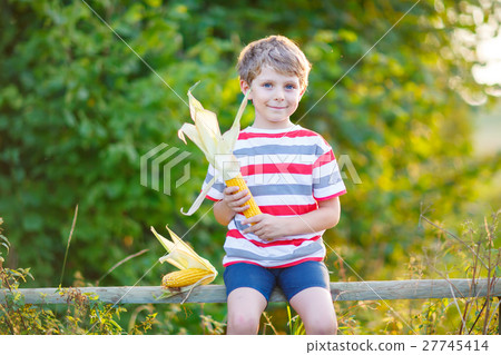 Kid boy with sweet corn on field outdoors Kid boy with sweet corn on field outdoors 27745414