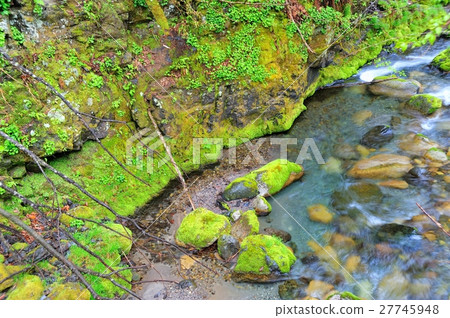 Mountain stream 27745948