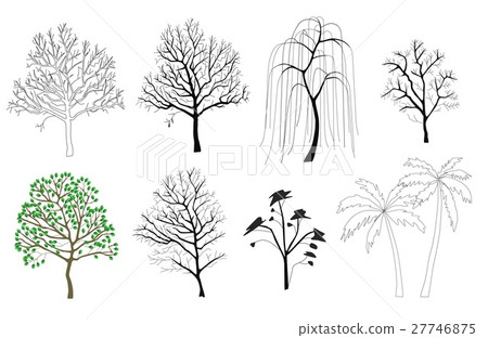 Variety of trees 27746875