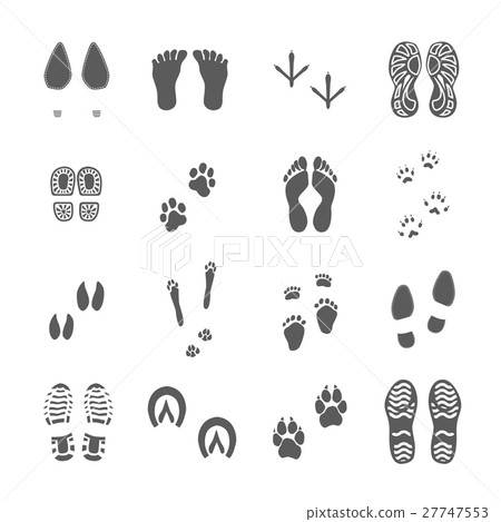 Various Footprints Set Black On White   27747553