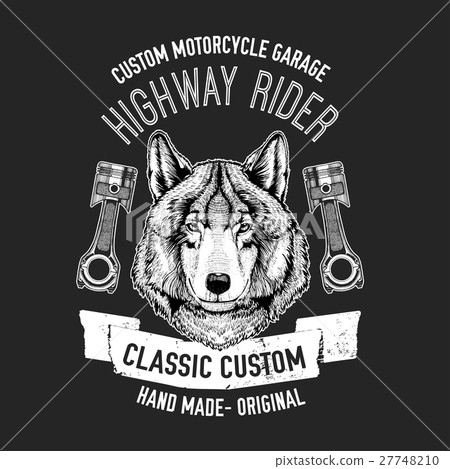 Wild wolf Vector image for motorcycle t-shirt Wild wolf Vector image for motorcycle t-shirt 27748210