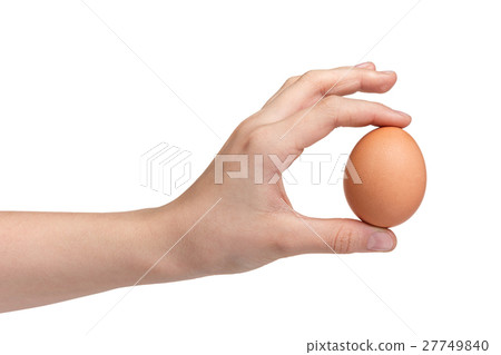 female teen hand holding brown chicken egg female teen hand holding brown chicken egg 27749840