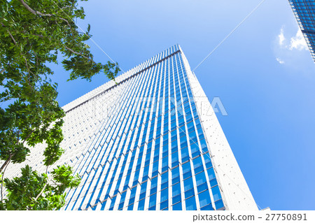 High-rise buildings in the office area and street trees High-rise buildings in the office area and street trees 27750891