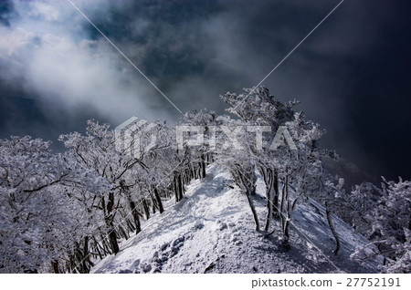 霜凍樹木和冰雪覆蓋的道路營造出冬季自然 霜凍樹木和冰雪覆蓋的道路營造出冬季自然 27752191