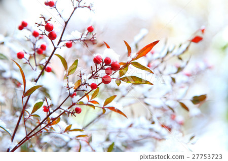 Nanten果子和新鮮的雪 27753723