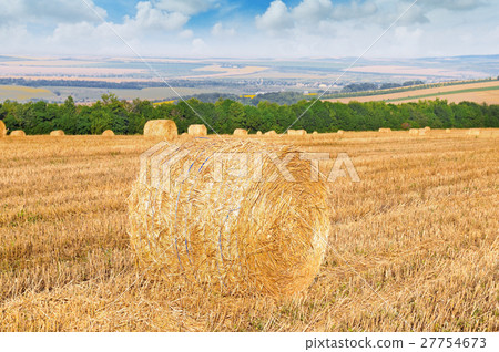 Straw bales on a wheat field and blue sky 27754673