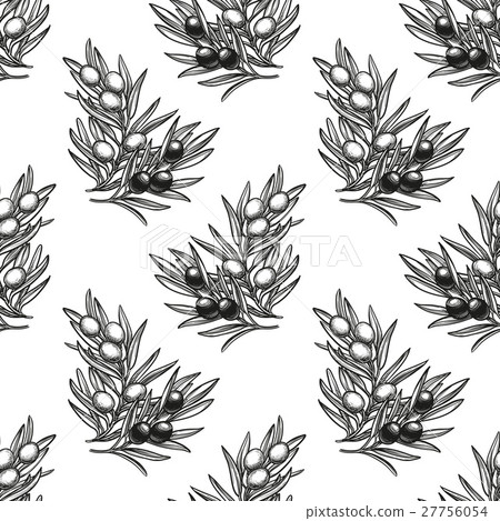 Seamless pattern with olive branch Seamless pattern with olive branch 27756054