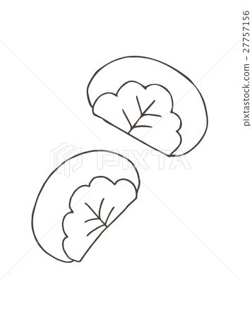 Kashiwochi(Kashiwochi)例證 Kashiwochi(Kashiwochi)例證 27757156