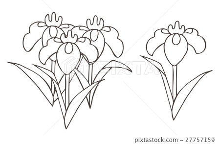 虹膜 虹膜 27757159