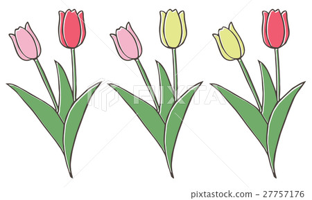 Tulip 27757176