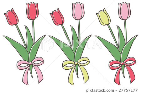 Tulip 27757177
