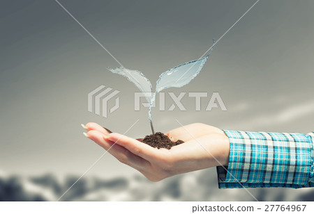 With love and care you will make it grow 27764967