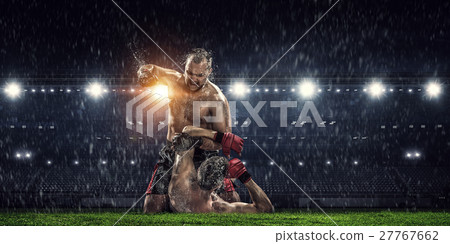 Professional box match 27767662