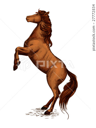 Equine horserace sport symbol of rearing horse Equine horserace sport symbol of rearing horse 27772834