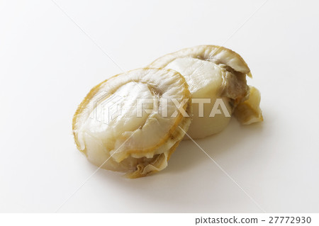 嬰兒扇貝7 27772930
