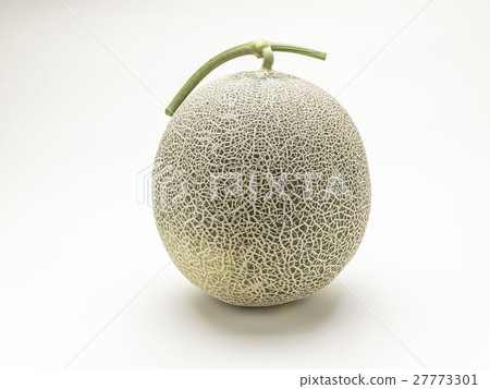 富良野甜瓜（側身，自然背景） 27773301