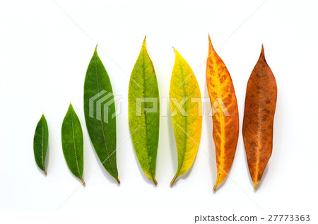 Different stages of life - Birth to death 27773363