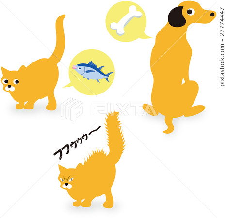 Doggy cat Doggy cat 27774447