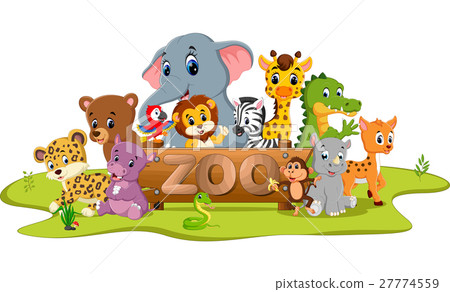 collection of zoo animals