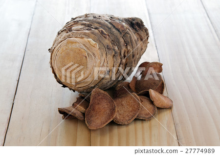 Curcuma comosa Roxb. or Curcuma latifolia Roscoe Curcuma comosa Roxb. or Curcuma latifolia Roscoe 27774989