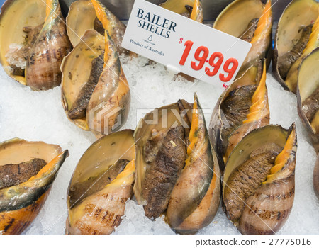 Sea snails in a seafood market Sea snails in a seafood market 27775016