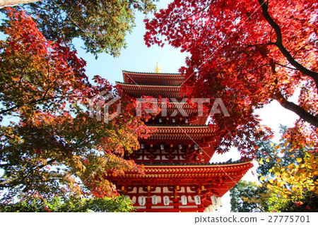 Takahata Fudosaki Five Story Tower Takahata Fudosaki Five Story Tower 27775701