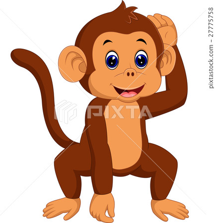 cute monkey cute monkey 27775758
