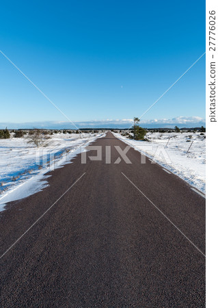 Bare asphalt road through a wintry plain landscape 27776026