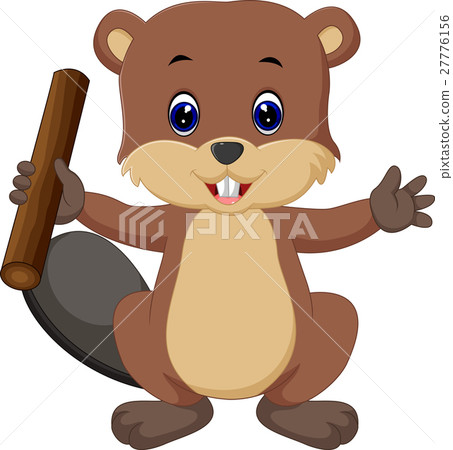 Beaver cartoon Beaver cartoon 27776156