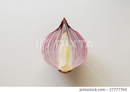 紫洋蔥 27777760