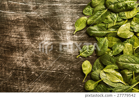bunch of fresh spinach leaves bunch of fresh spinach leaves 27779542
