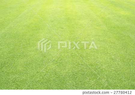 grass background Golf Courses green lawn 27780412