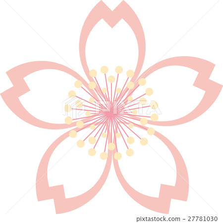 Sakura Peach Flower Single Pink Sakura Peach Flower Single Pink 27781030