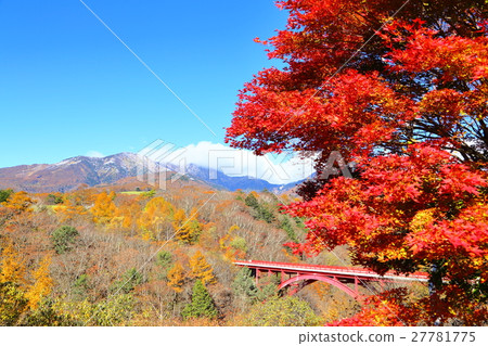Autumnal leaves and Yatsugatake Autumnal leaves and Yatsugatake 27781775