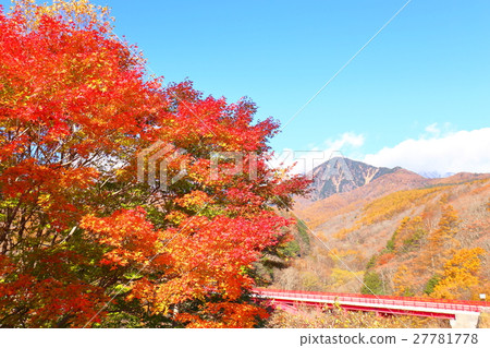 Autumnal leaves and Yatsugatake Autumnal leaves and Yatsugatake 27781778