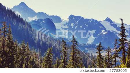 Mt Baker Area 27782005