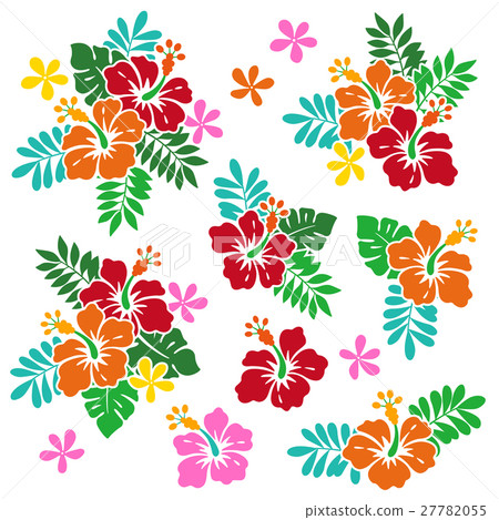 Hibiscus illustration Hibiscus illustration 27782055