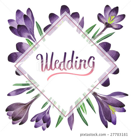 Wildflower crocuses flower frame in a watercolor Wildflower crocuses flower frame in a watercolor 27783181