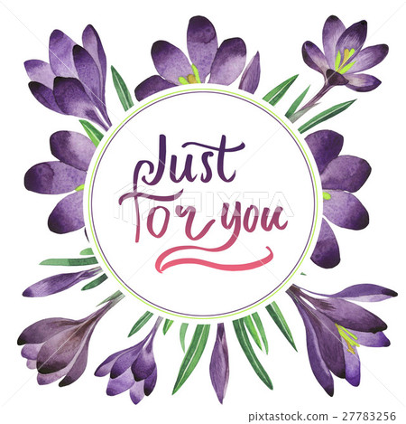 Wildflower crocuses flower frame in a watercolor Wildflower crocuses flower frame in a watercolor 27783256