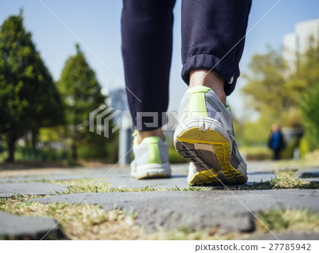 Woman Walking Park Outdoor Exercise Woman Walking Park Outdoor Exercise 27785942