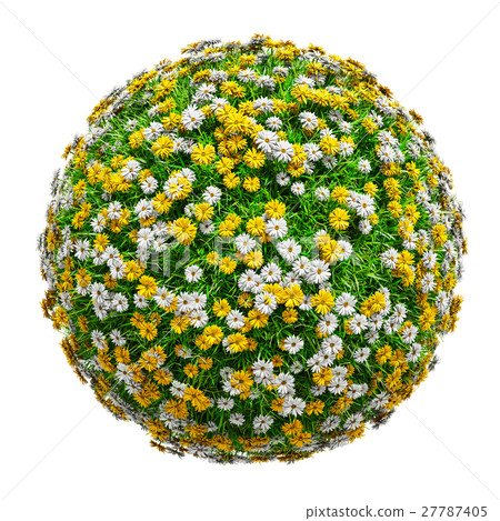 Natural grass arena with flowers 27787405