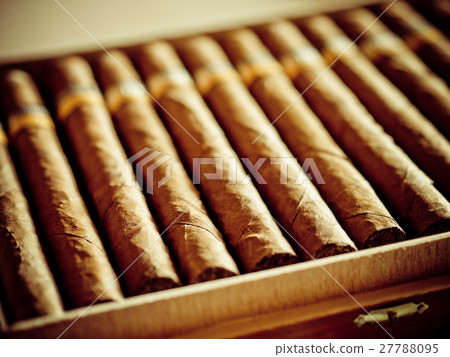Cigars 27788095