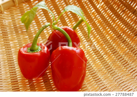 Red paprika 27788487