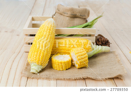 Close up shot fresh nature corn 27789350