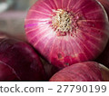 Red shallot bulbs (Allium ascalonicum)  27790199