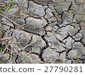 Cracked and moisten clay  with hay on ground field 27790281