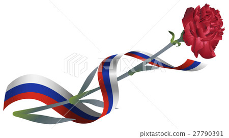 Red carnation flower and ribbon tricolor Russian 27790391