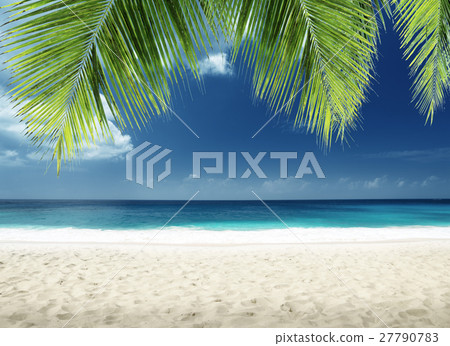 beach on Mahe island, Seychelles 27790783