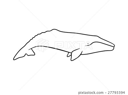 Silhouette of gray whale. Vector illustration 27793394